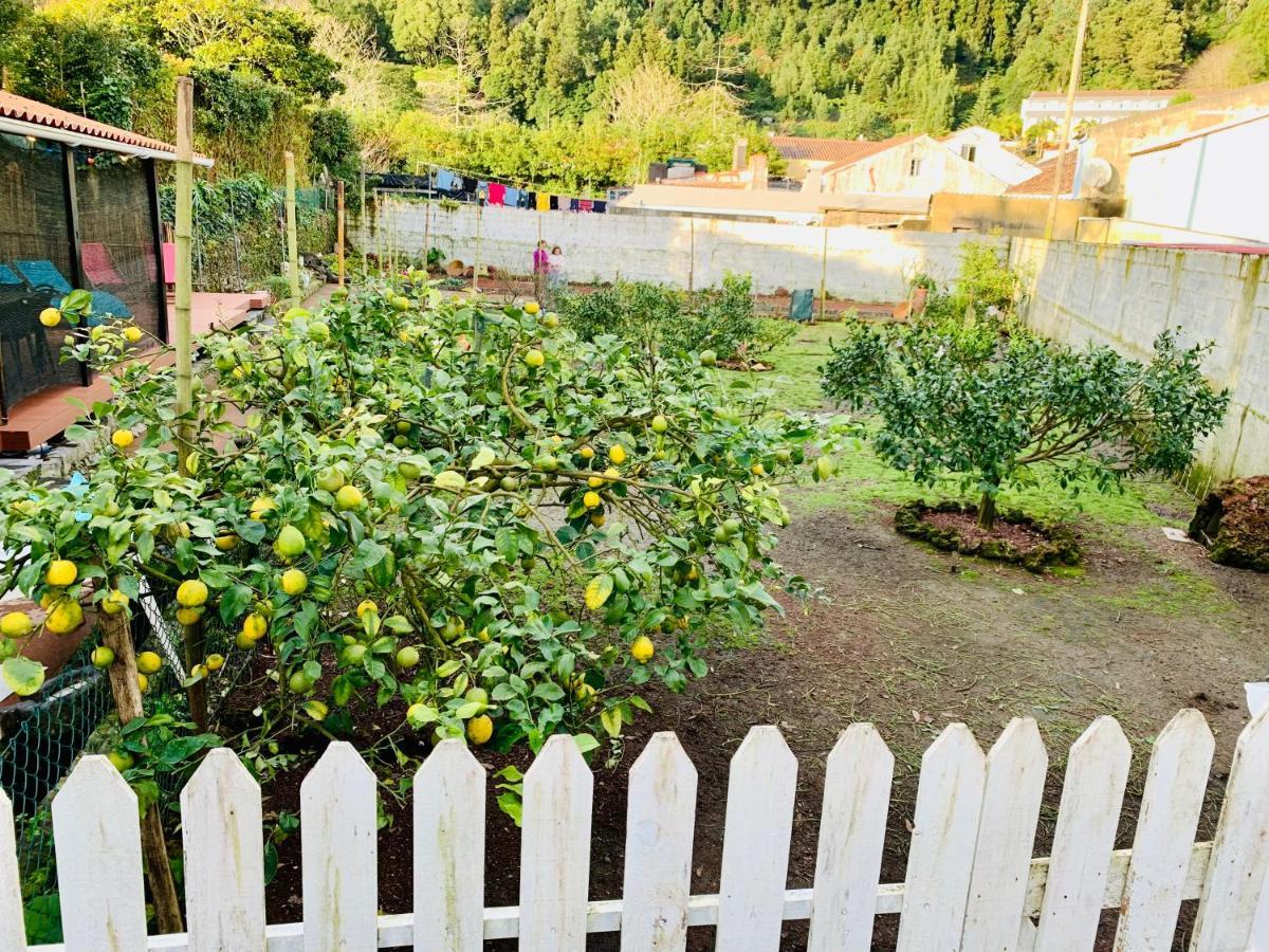 Furnas Spring * Furnas (Azores)