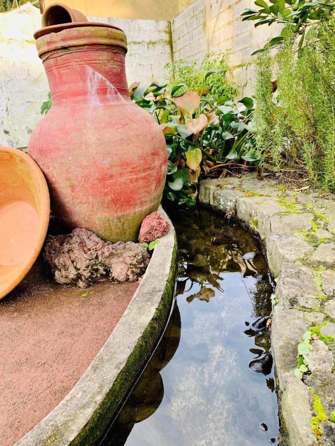 Furnas Spring Country house *