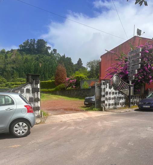 Furnas Spring * Furnas (Azores)